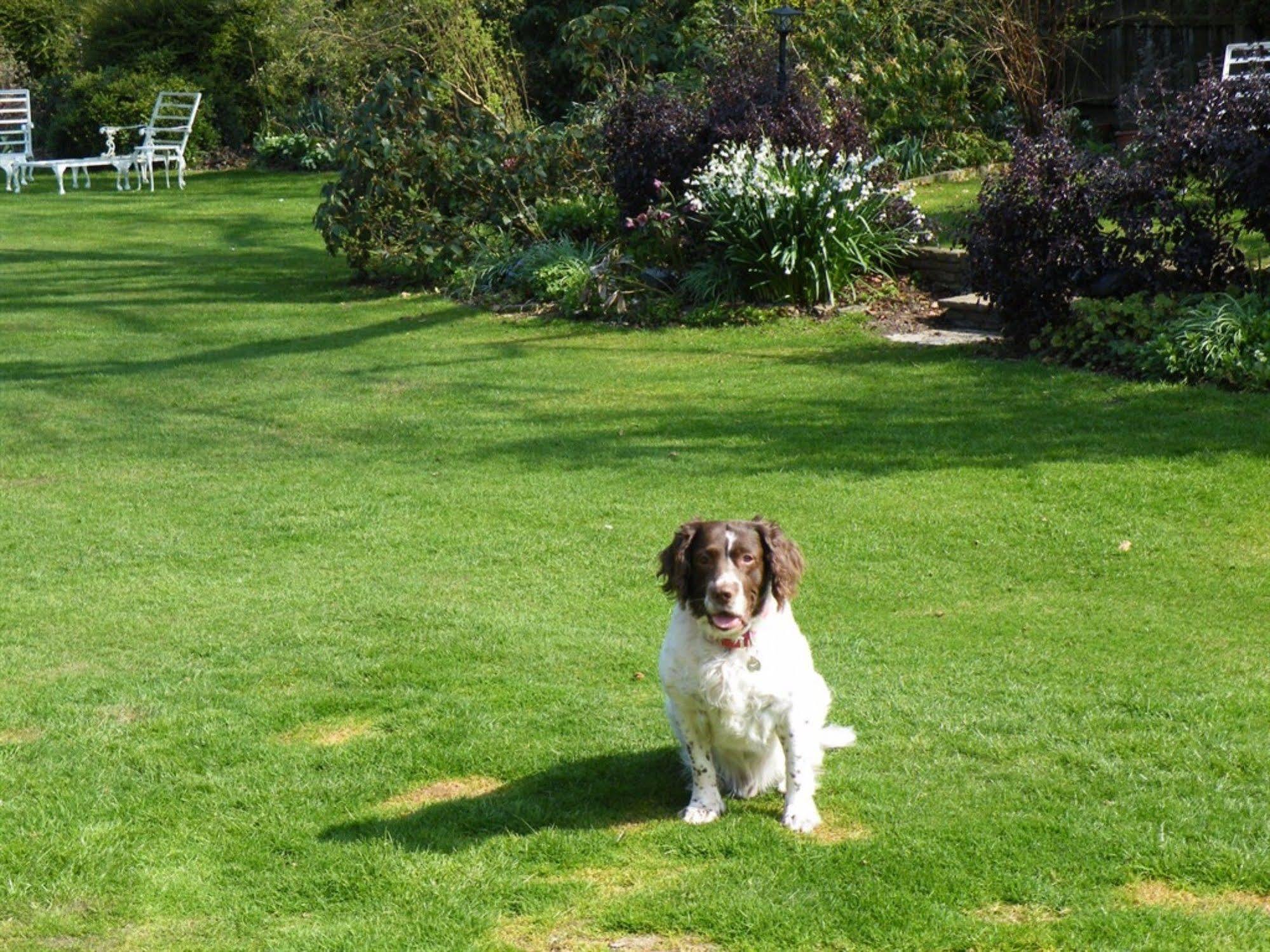 Broadlands Gate Bed and Breakfast Brockenhurst Buitenkant foto