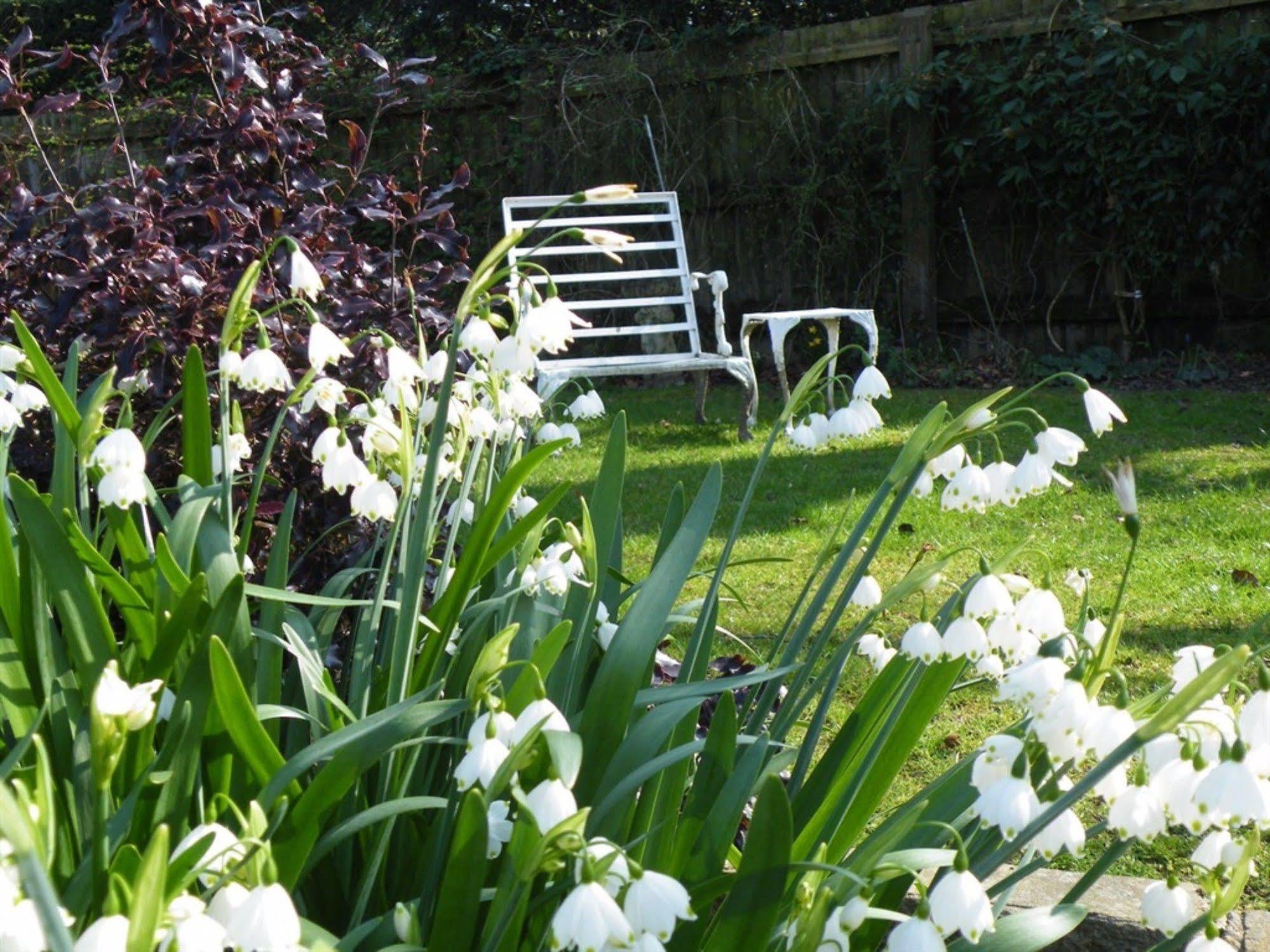 Broadlands Gate Bed and Breakfast Brockenhurst Buitenkant foto